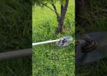 bloqueo de tuber&iacute;as por Raices le&ntilde;osas