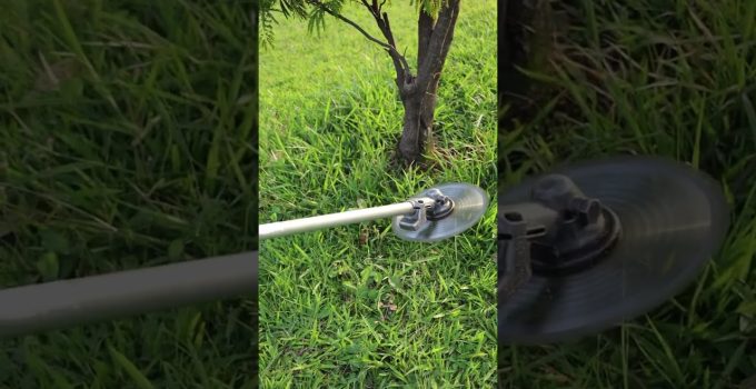 bloqueo de tuberías por Raices leñosas