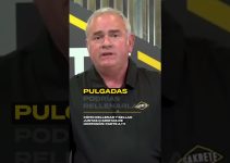 bloqueo en arqueta por Raices finas