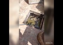 bloqueo en colector general del edificio
