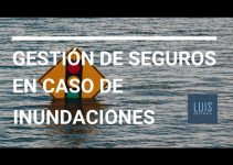 gestión con seguro por siniestro de agua