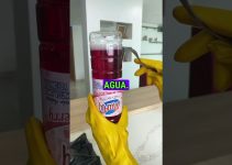 higiene de sifones dom&eacute;sticos