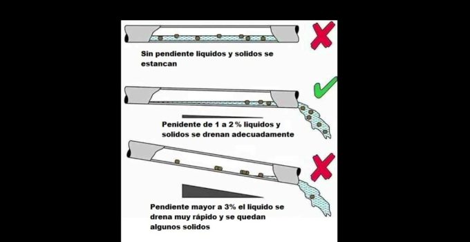inspección del saneamiento comercial