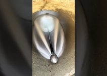 lavado de tuber&iacute;as con agua a presi&oacute;n